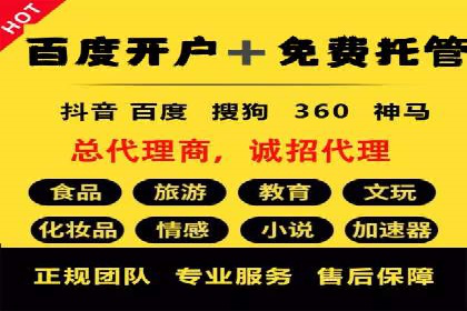 解析SEM推广代运营公司的成功案例及效果
